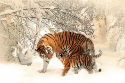 Imagem jigsaw puzzle