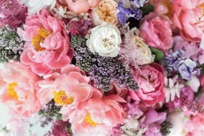 flores