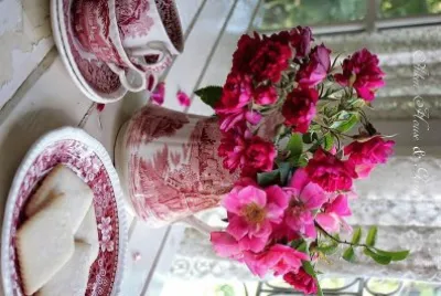 flores