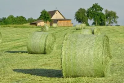 Imagem jigsaw puzzle