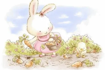 Rabbit