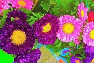 flores jigsaw puzzle