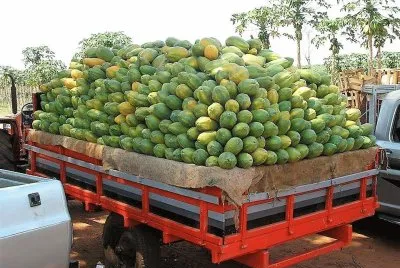 frutas