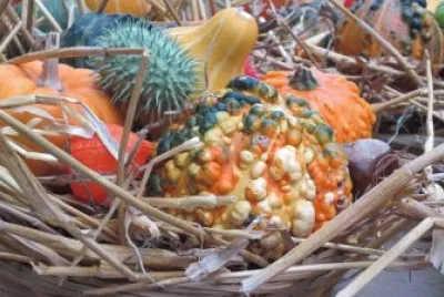 Imagem jigsaw puzzle