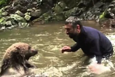 Imagem jigsaw puzzle