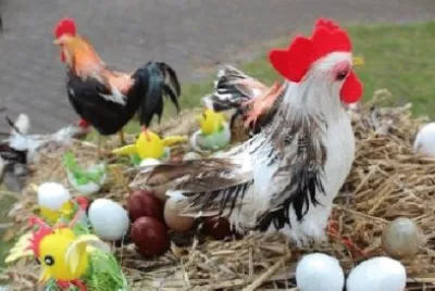 פאזל של Imagem