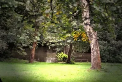 Imagem jigsaw puzzle