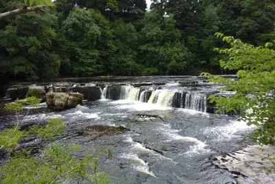 Imagem jigsaw puzzle