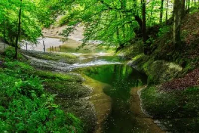 Imagem jigsaw puzzle