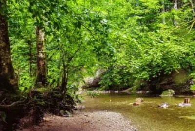 Imagem jigsaw puzzle