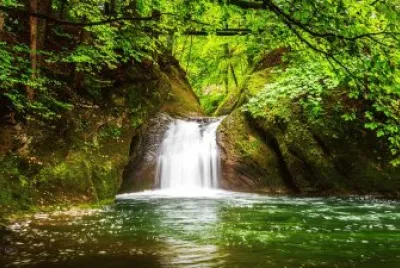 Imagem jigsaw puzzle