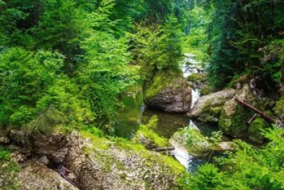 Imagem jigsaw puzzle