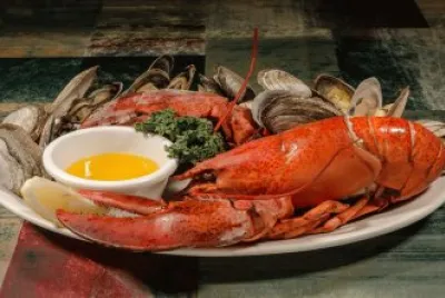 Lobster   Oyster