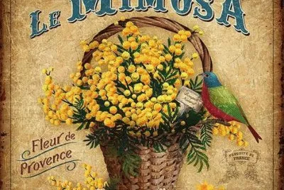 mimosa jigsaw puzzle