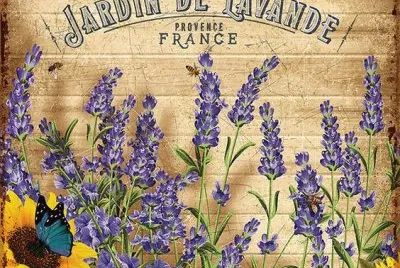 lavanda jigsaw puzzle