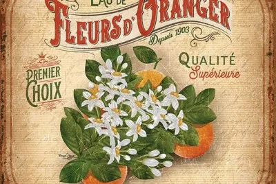 fiori d 'arancio jigsaw puzzle