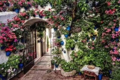 Cordoba