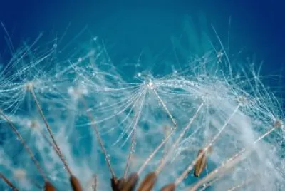 Imagem jigsaw puzzle