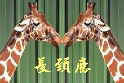 JSPuzzles-åœ–ç‰‡å»Š (å°ç¨±)