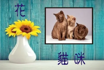 JSPuzzles-åœ–ç‰‡å»Š (çµ„åˆ) jigsaw puzzle