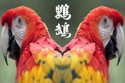 JSPuzzles-åœ–ç‰‡å»Š (å°ç¨±)