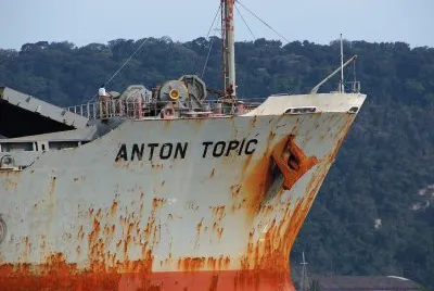 anton topic