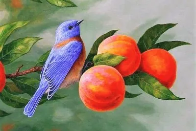 natural jigsaw puzzle