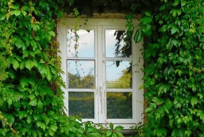 Imagem jigsaw puzzle