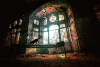 Imagem jigsaw puzzle