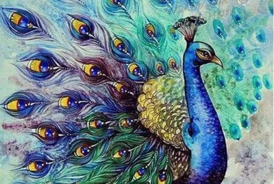 pavone blu jigsaw puzzle
