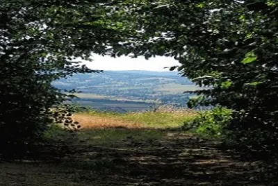 Imagem jigsaw puzzle