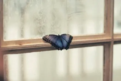 Imagem jigsaw puzzle