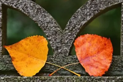 Imagem jigsaw puzzle