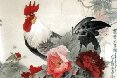 gallo con peonie
