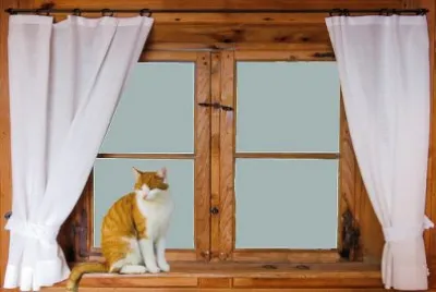 Imagem jigsaw puzzle