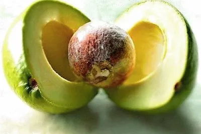 frutas
