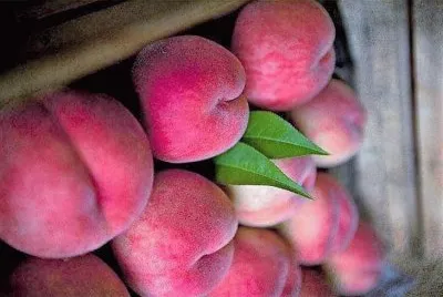 frutas