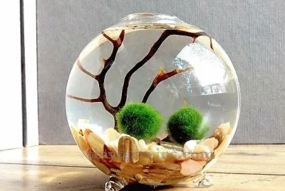 arte