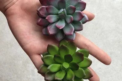 natural