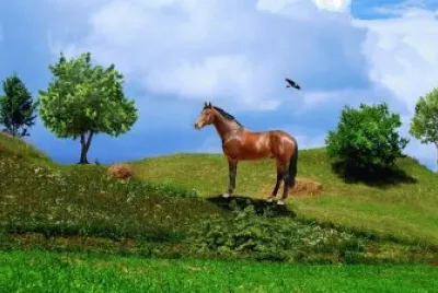Imagem
