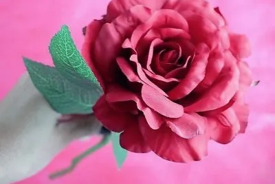 flores