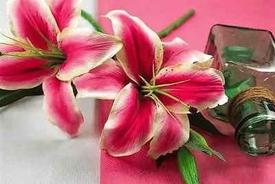 flores