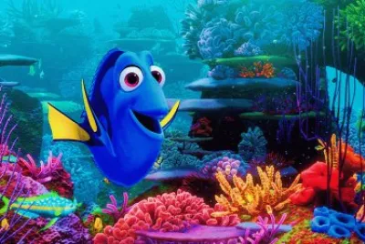 Dory