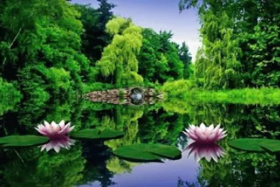 NATUREZA