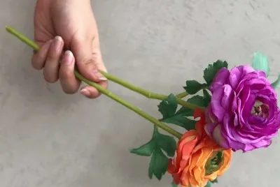 flores