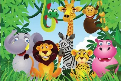Safari