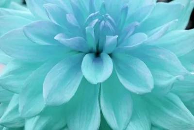 OK
