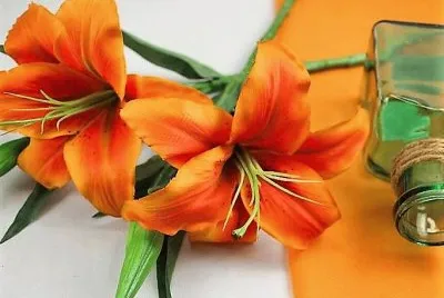 flores