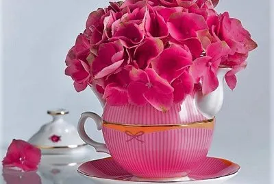 flores