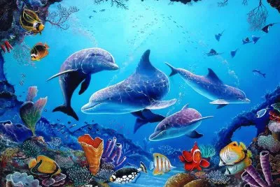 Delfin